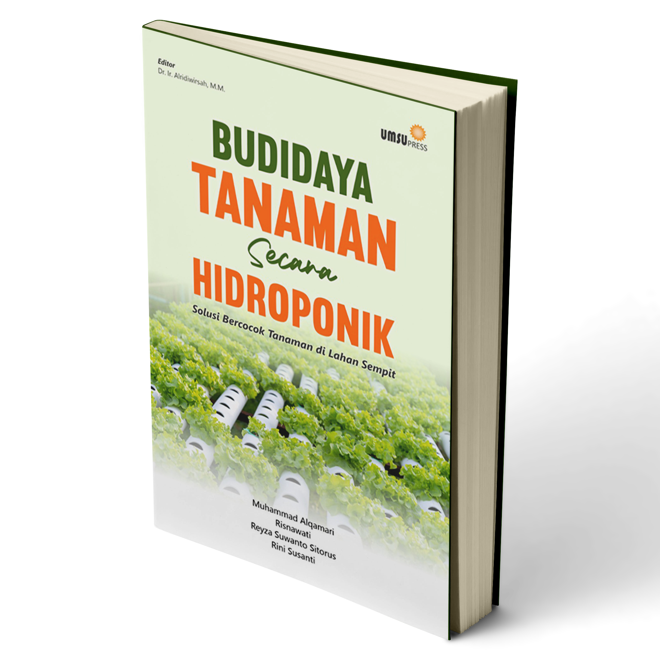 Budidaya Tanaman Secara Hidroponik Solusi Bercocok Tanaman di Lahan Sempit
