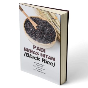 Padi Beras Hitam (Black Rice)