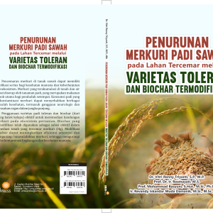 Penurunan Merkuri Padi Sawah pada Lahan Tercemar melalui Varietas Toleran dan Biochar Termodifikasi