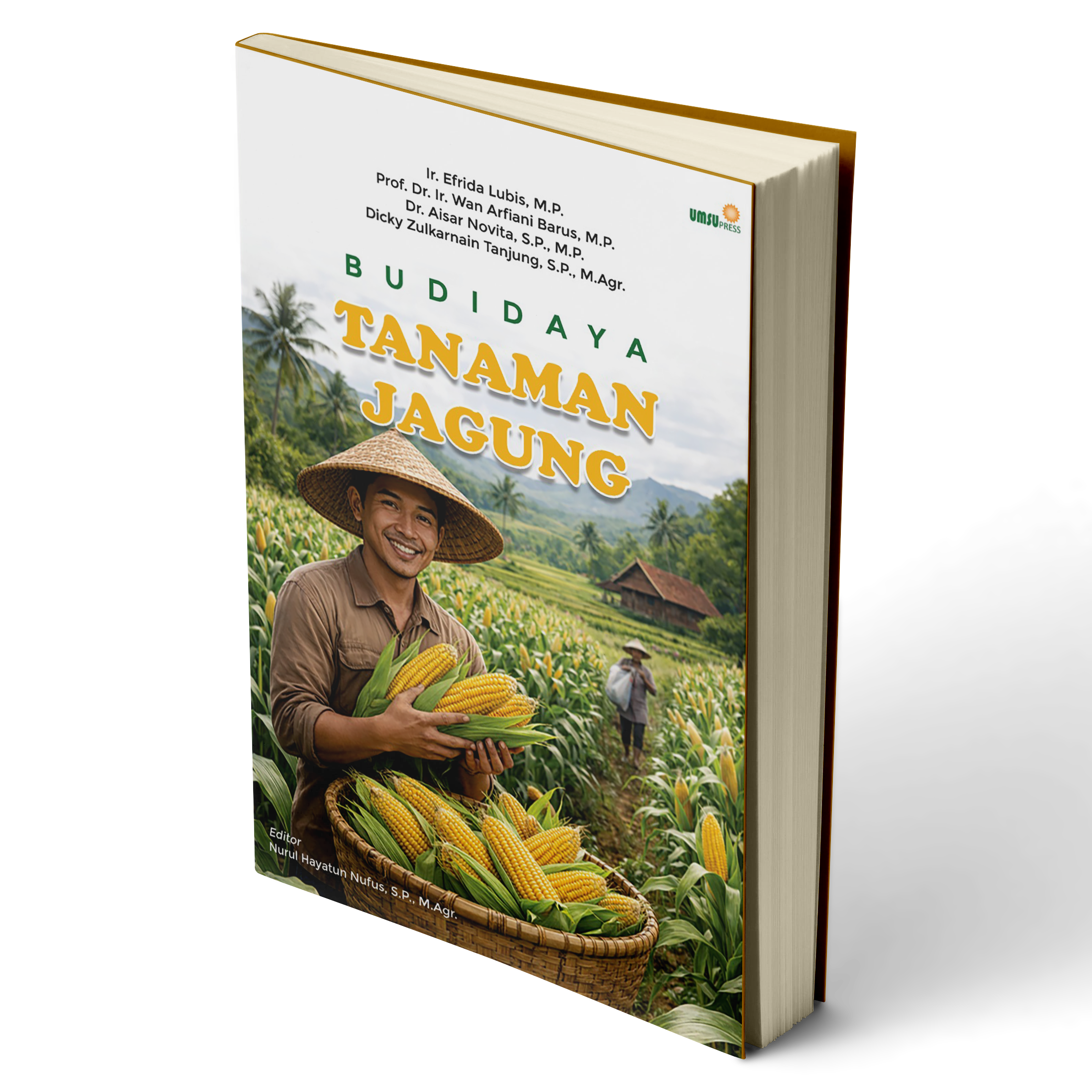 Budidaya Tanaman Jagung